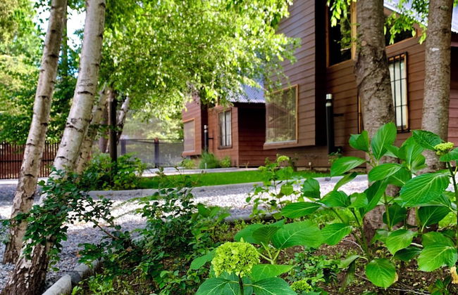 Cabañas El Nativo - Licán Ray - Foto 12