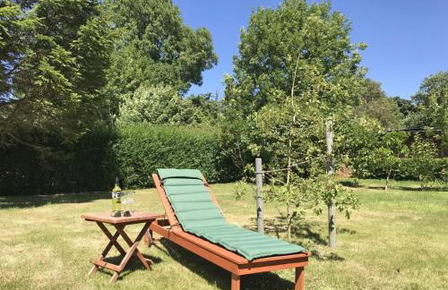 Schleimuschel - Photo 22