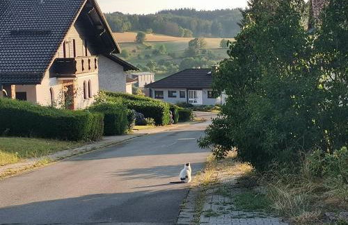 1-Zimmer-Studio am Waldrand - Photo 21