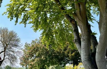 Octon Cottages Luxury 1 and 2 Bedroom cottages 1 mile from Taunton centre - Foto 25