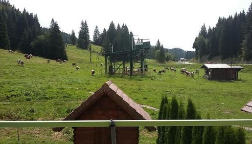 Le Repaire du Loup blanc - Foto 2, Garden view