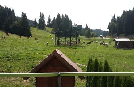 Le Repaire du Loup blanc - Foto 2