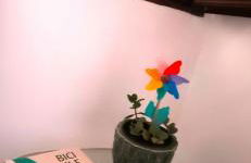 Casa Cristinella - Photo 15