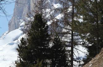 Appt pied pistes et centre station Superdévoluy chez Locasoleil - Foto 22