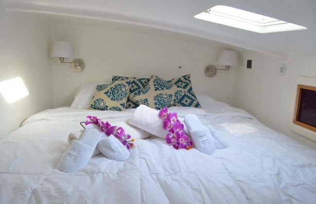 Maldives Dive Loabi - Foto 3