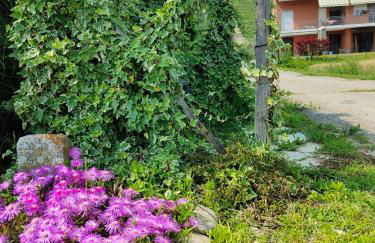 Casa Emy da Teresina - Photo 24