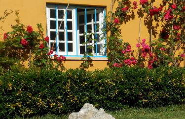 Quinta das Tamengas - Foto 8