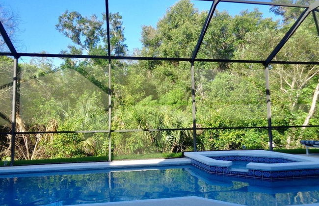 Charming 4-bedroom Villa With Pool & Spa, Only 15 Minutes From Disney! - Foto 10