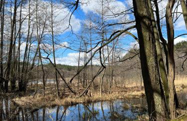 APARTAMENT CENTRUM - Foto 67