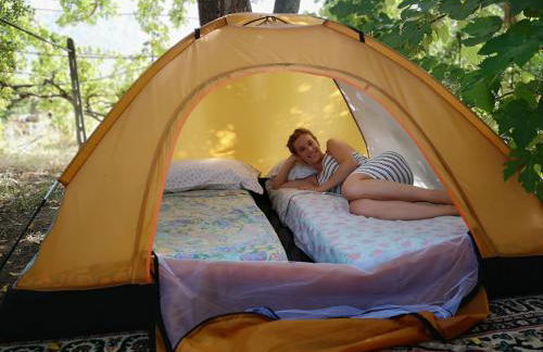 Pinnettu sardo casa di campagna in ecosistema insetti e animaletti simpatici in condivisione,Leggere attentamente Prima di prenotare - Foto 12