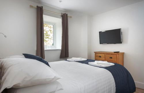 Bewick Swan - Ukc2111 - Photo 6