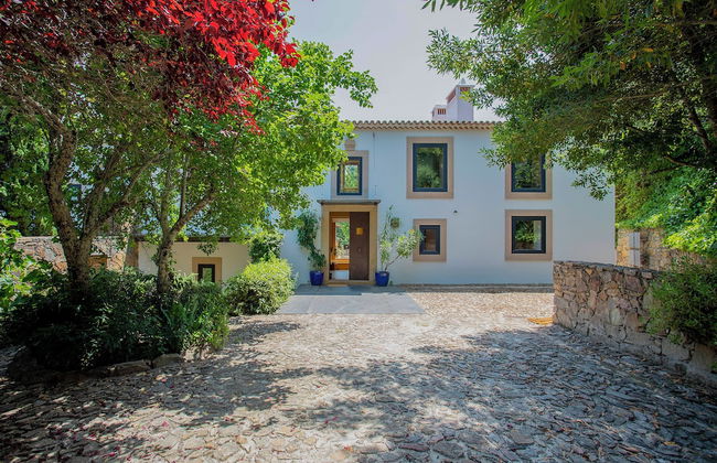 Local 9 - Casa do chapim azul - Foto 77