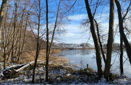 Klein aber fein in der Altstadt - Photo 26