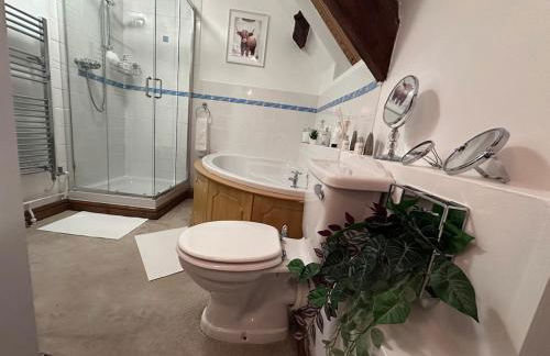 Luxury 4 bed former hay loft SLEEPS 6 - Foto 64