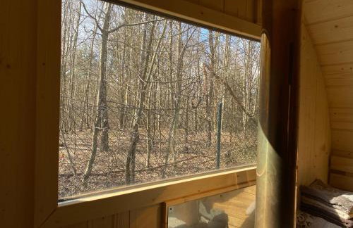 DOM NA KASZUBACH, SAUNA i BALIA - Foto 19