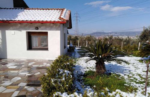 Παραδοσιακό σπίτι με τζάκι - Foto 41