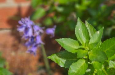 A Home Away From Home - Photo 29