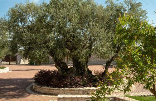 I Giardini del Melograno - Foto 22