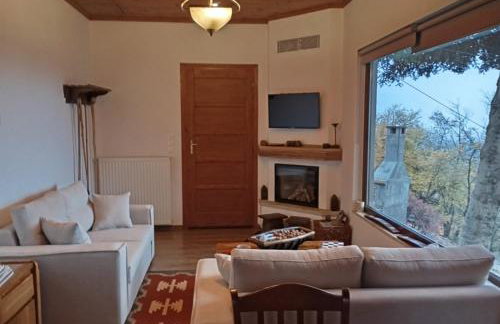 Ξενώνας Το Πατρικό - Foto 9