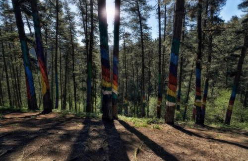 Urdaibai Etxea - Foto 65