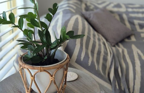 The Hill Apartments - Foto 11