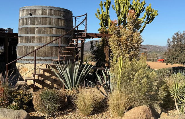 Private Deluxe Wine Tour to Valle de Guadalupe by Luxury Vehicle - Photo 34