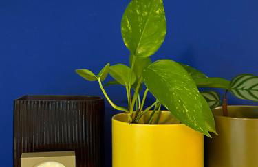 Cosy Cologne Apt - Foto 13