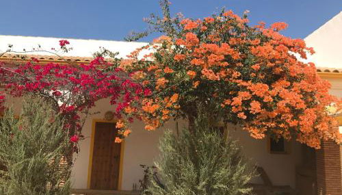 finca las gateras - Foto 3