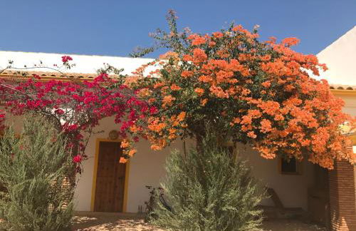 finca las gateras - Foto 3