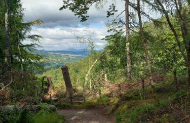 Number Five - Foto 17