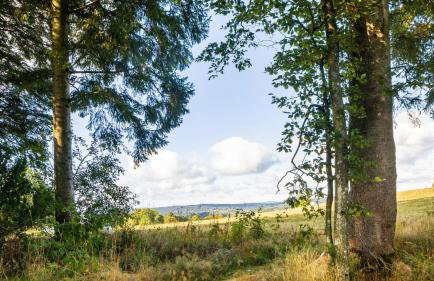 Das Schneiderhaus - Foto 20