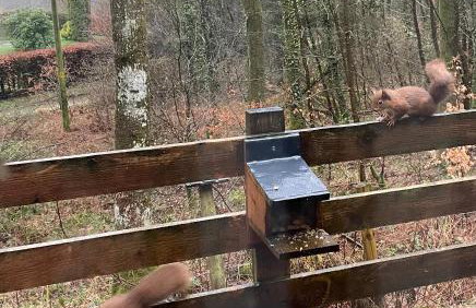 The Shack, Cally Avenue, Gatehouse of Fleet, Dumfries and Galloway, DG7 2 DH - Foto 15