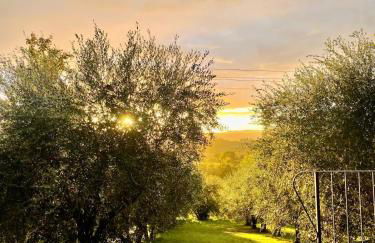 Apartment La Sera - Agriturismo CasaViVa - Foto 12