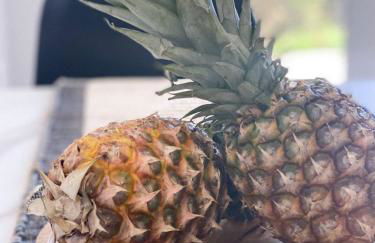 NICOL's HOUSE - Foto 11