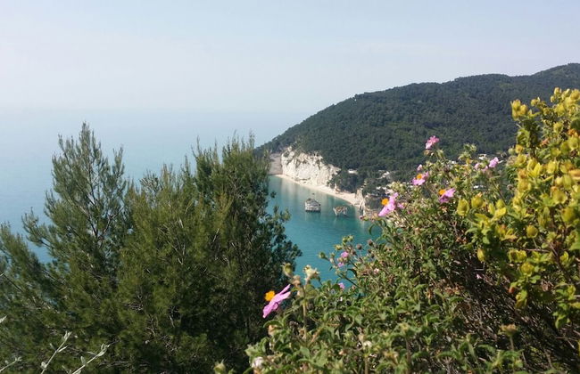 Tenuta Santa Maria - Foto 53