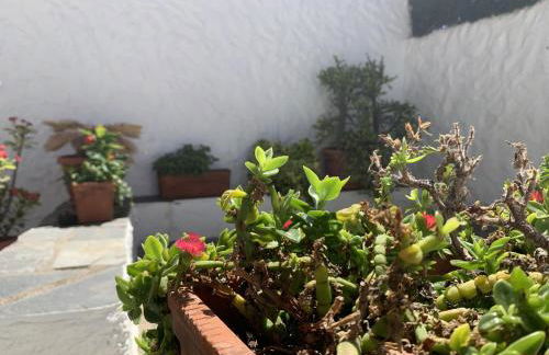 Casa rural las perez - Foto 21