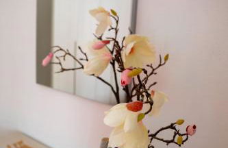 Appartamento Camisa - Il Gelso - Foto 6