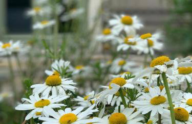 Hillcrest Barn. - Foto 27