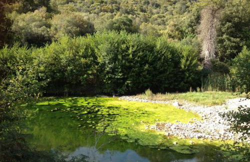 Agriturismo La Casa delle Fate - Photo 59