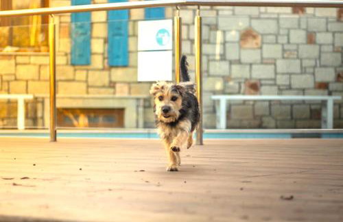 Luxury Villa Karteros - Foto 12