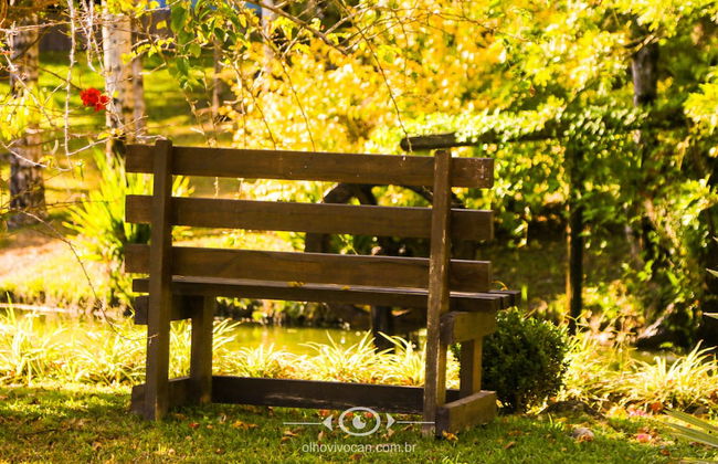 Sítio Morada do Pai - Foto 40