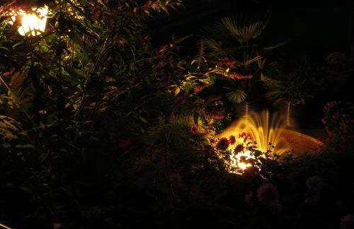 Ferienwohnungen Familie Schwarze - Foto 71