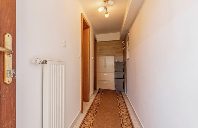 Vineyard Cottage Hocevar With Sauna - Photo 18