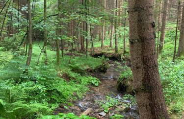 Ferienwohnung Do Blym - Foto 21