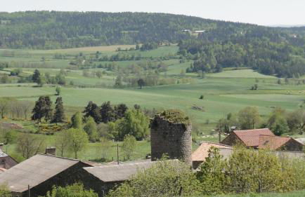 Gite les ducs - Foto 20