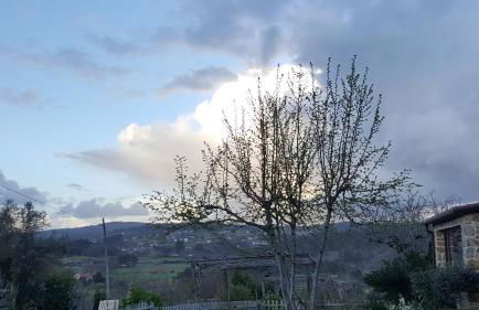 A Casiña de Esther - Foto 52