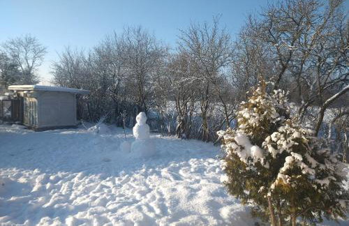 Ranczo u Jarka - Foto 20