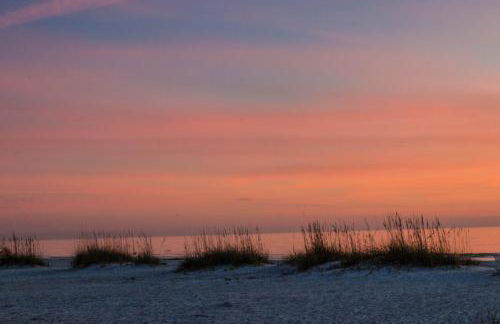 Safari Suite - Photo 31