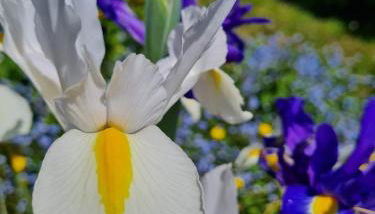 Gîte de l'Alliance 6 à 10 personnes en bord de mer - Photo 4