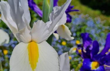 Gîte de l'Alliance 6 à 10 personnes en bord de mer - Photo 4